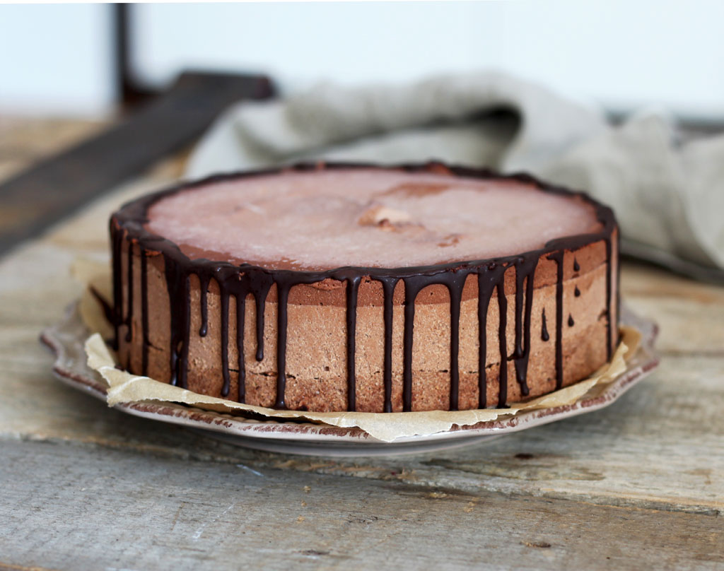 Raw-nutella-cake4